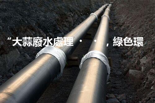 “大蒜廢水處理，綠色環(huán)保新篇章”